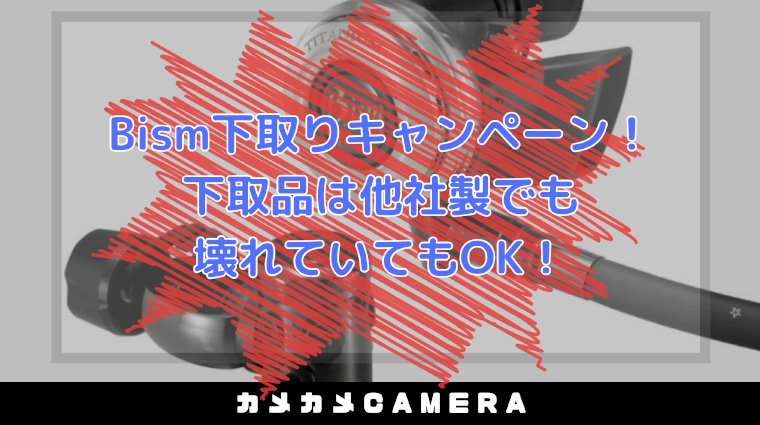 カメカメバナー__トップ06