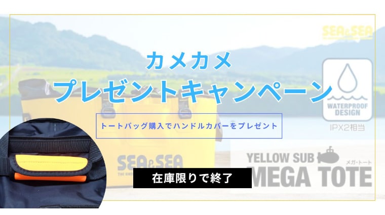 カメカメバナー__トップ02