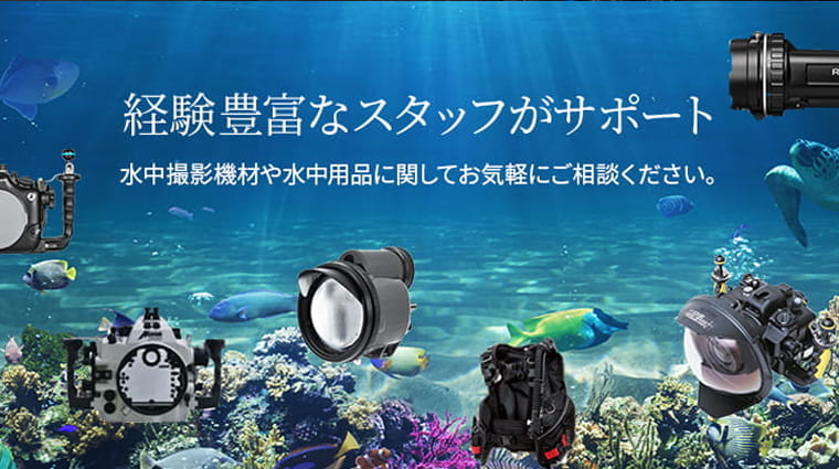カメカメバナー__トップ00