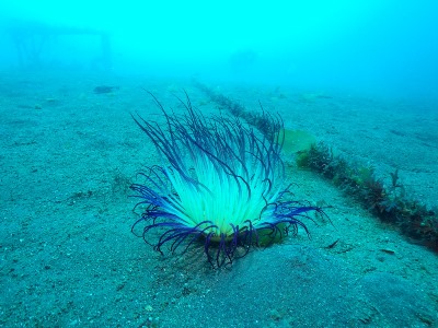 img-3