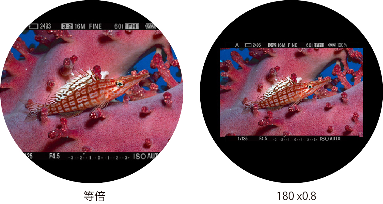 img-3