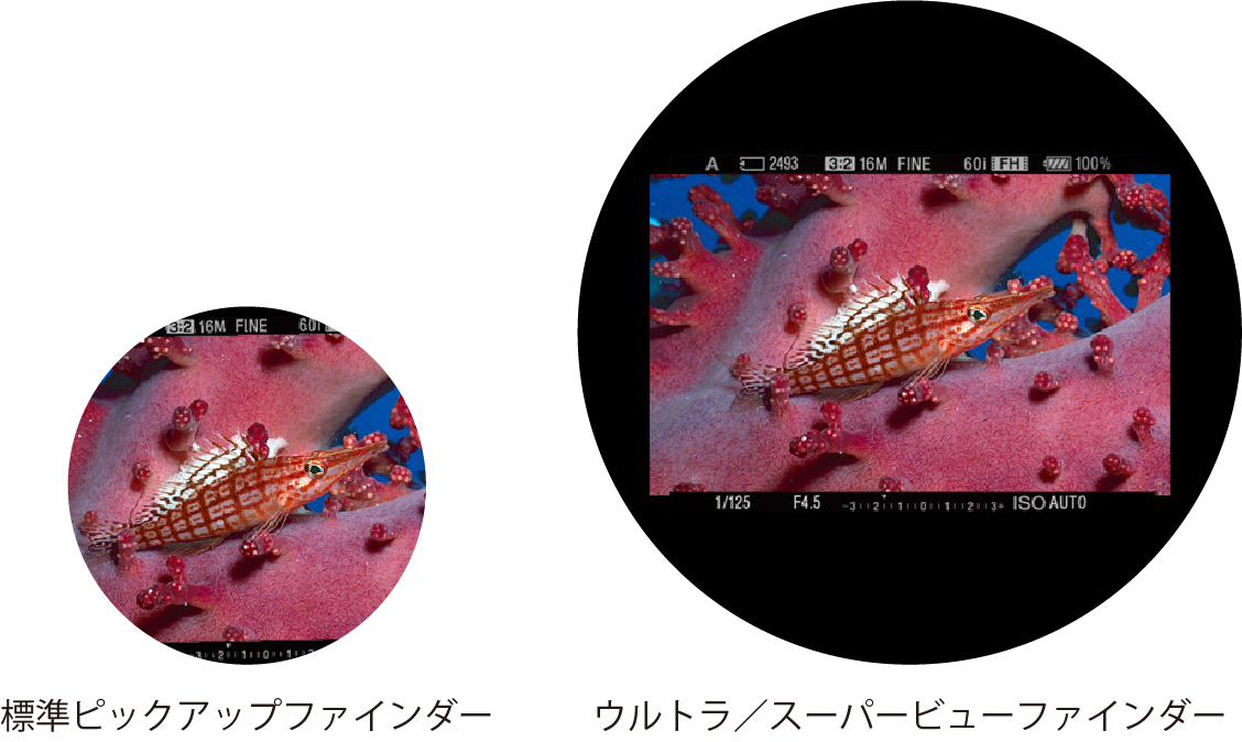 img-3