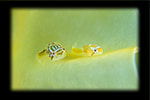img-1