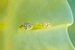 img-1