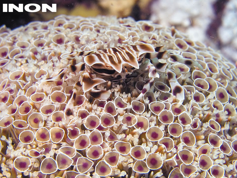 img-3