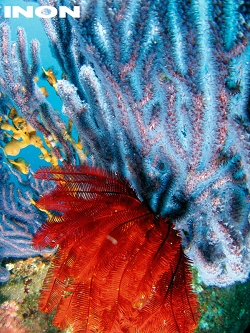 img-3