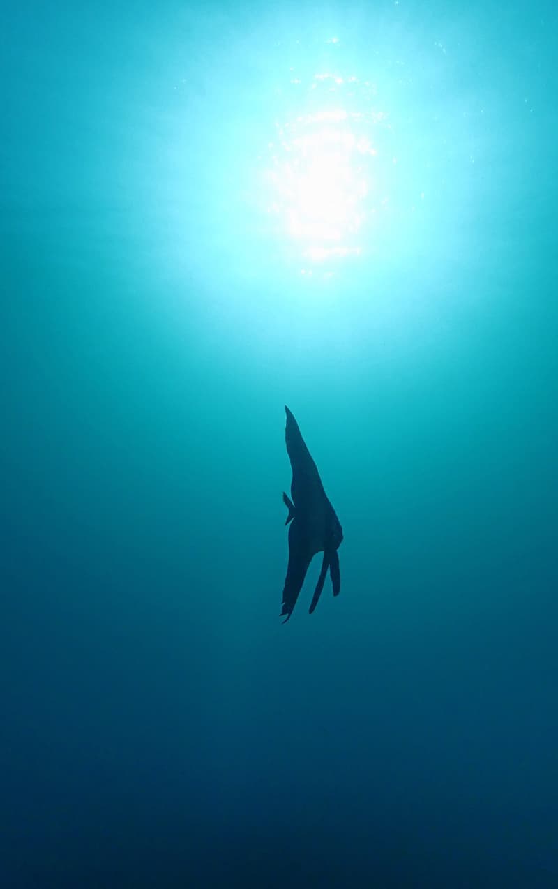 img-1