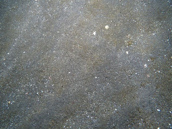 img-2
