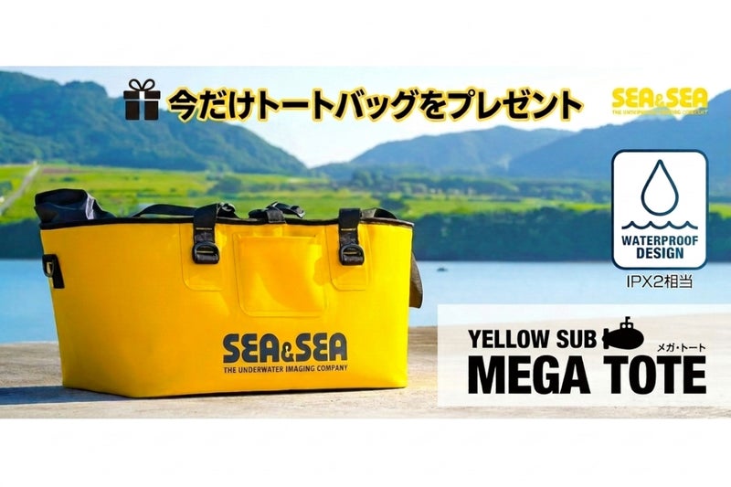 キャンペーン