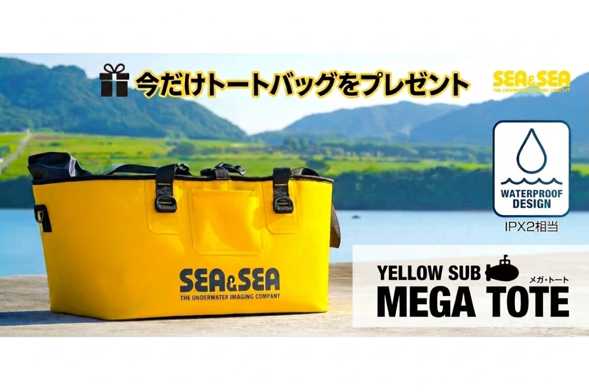 キャンペーン