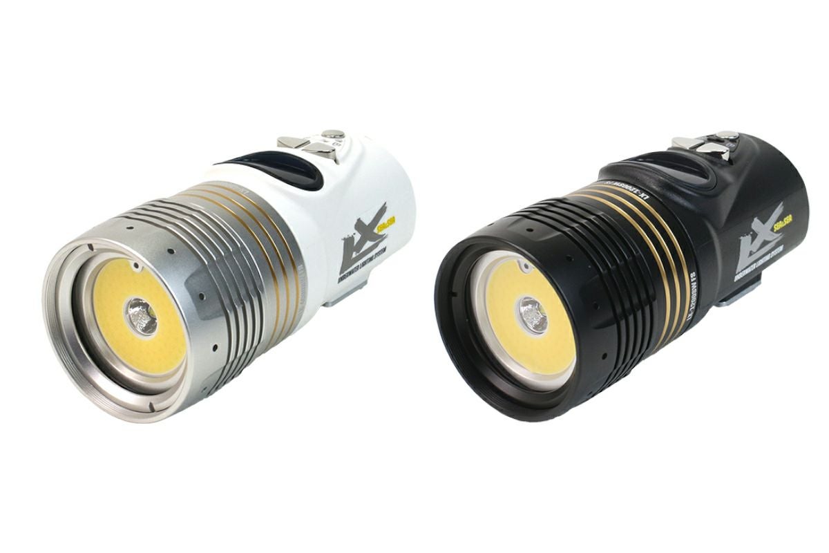 フィッシュアイ Premiumライトヘッド3000DX SWRII FS｜カメカメ