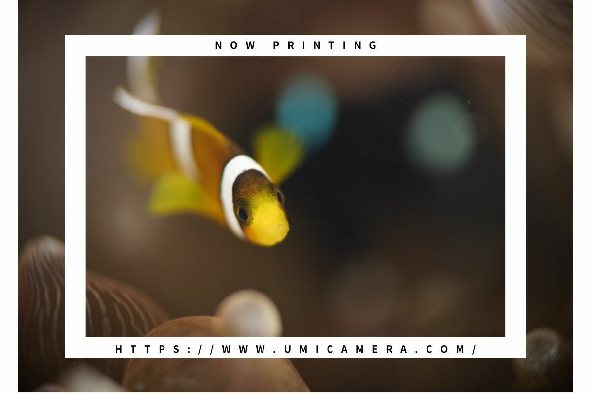 ノーティカム（Nauticam）NA リングブラケット トリムウェイト セット #21641-1