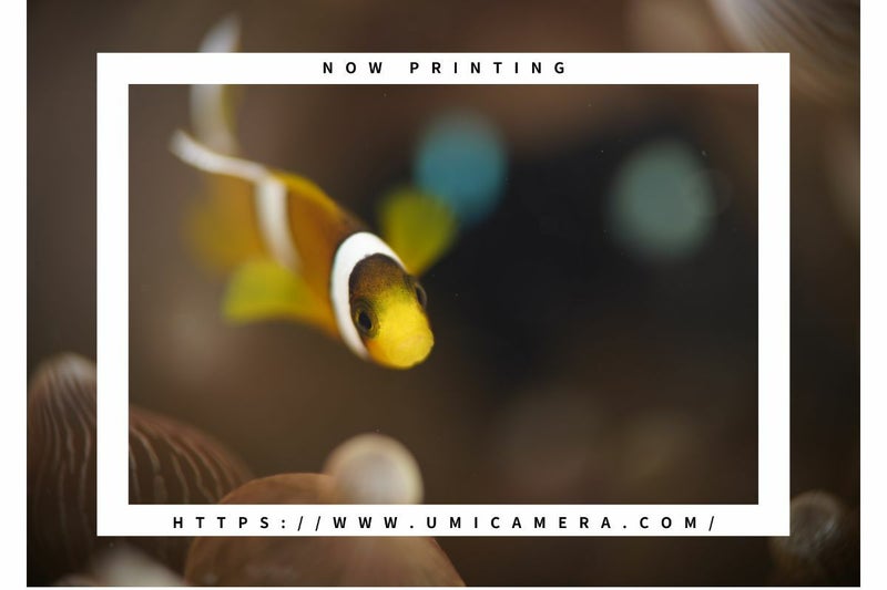 ノーティカム（Nauticam）NA M24-M16 ステップダウンアダプター #21144