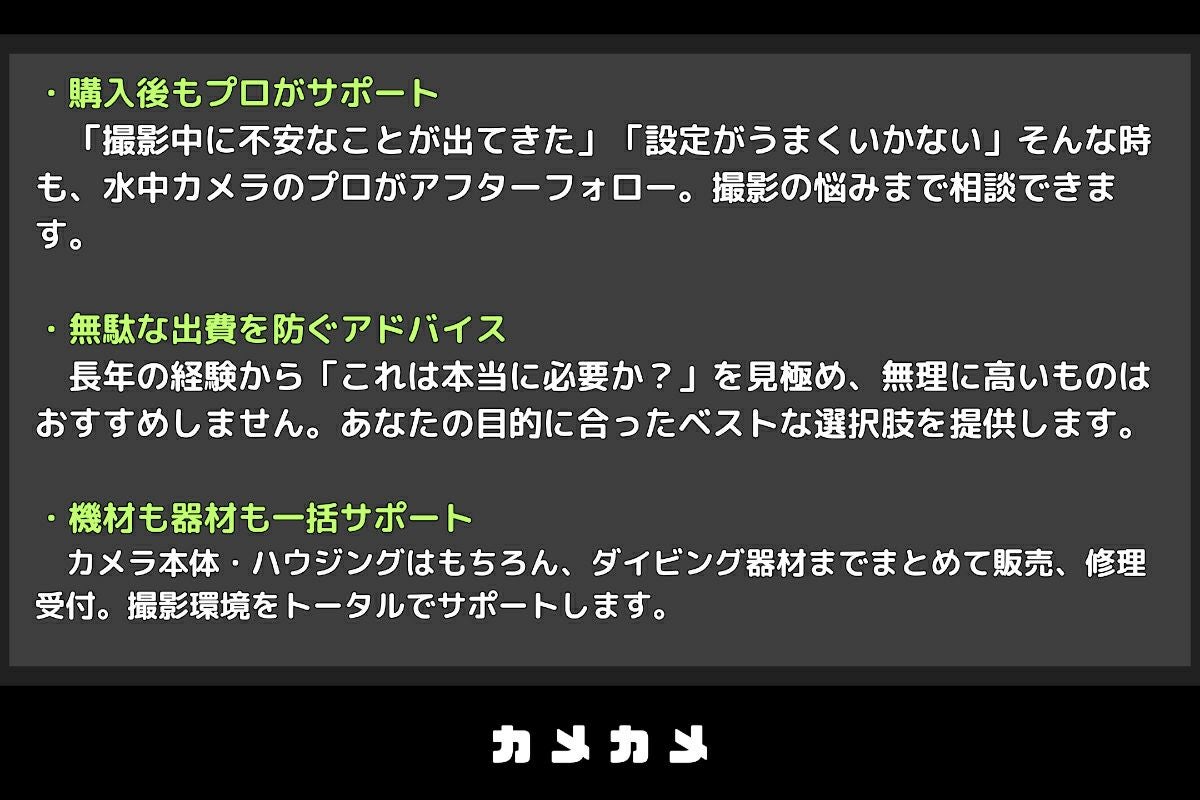 ノーティカム（Nauticam）ズームギア NA-PL2460-Z #21715-3