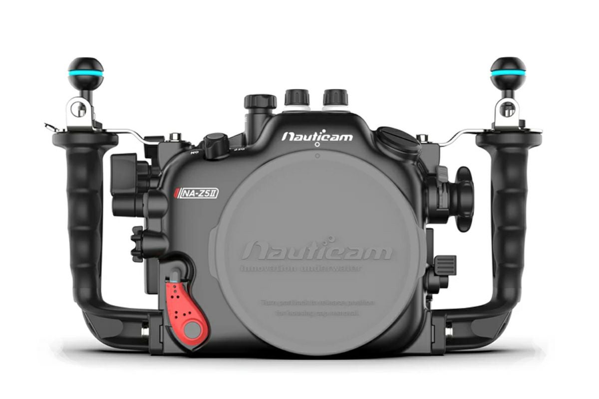 000000003449-01.jpg?size=m&w=