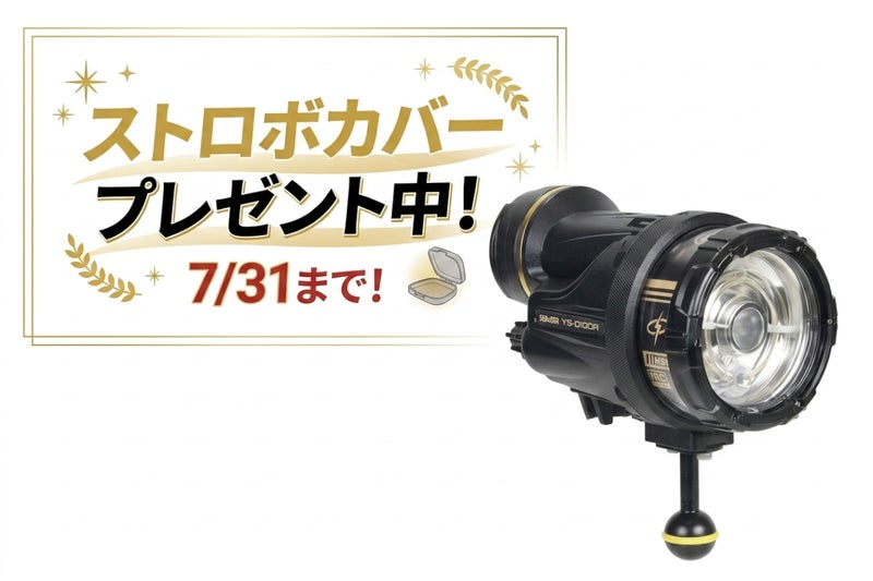 シーアンドシー（SEA&SEA）水中ストロボ YS-130R プロパッケージ #03133-1