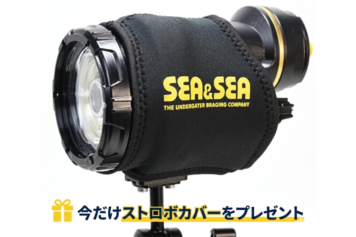 シーアンドシー（SEA&SEA）水中ストロボ YS-130R プロパッケージ #03133-1
