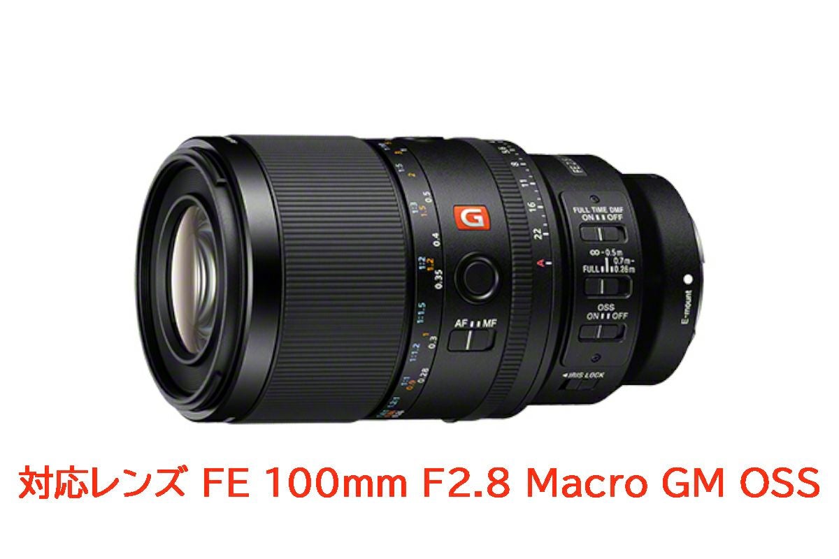 ノーティカム（Nauticam）NA E125Aマクロポート #21743-2