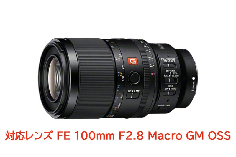 ノーティカム（Nauticam）フォーカスギア NA-SE100-F #21744-2