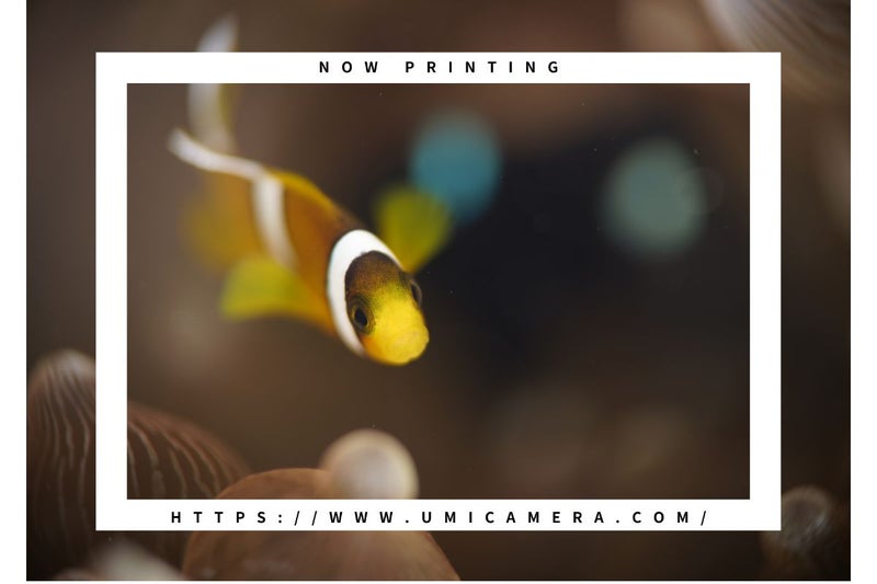 （AOI / エーオーアイ）AOI-LG-SEL-1424-SM レンズギア #21770-1