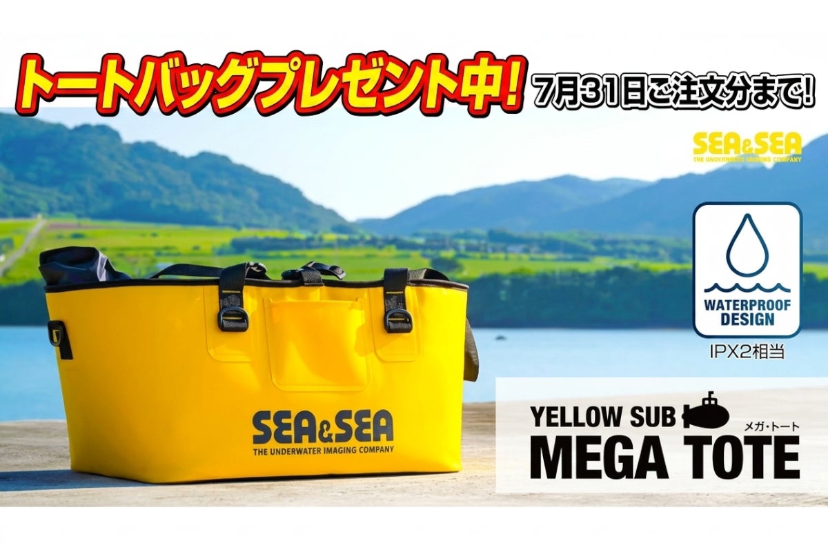 キャンペーン