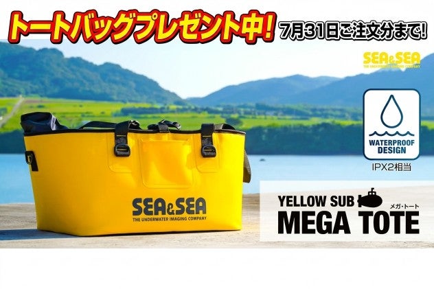 シーアンドシー（SEA&SEA）水中ハウジング MDX-R5II #06228-5